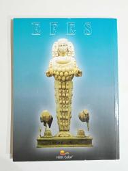 EFES ANTİK KENTİ GEZİ REHBERİ KİTABI