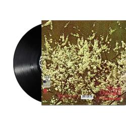 FERDİ ÖZBEĞEN MUTLULUKLAR 33 LÜK PLAK