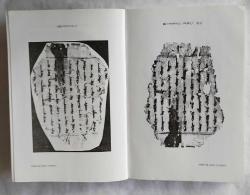 Splitter aus der Gegend von Turfan / Festschrift für Peter Zieme anlablich seines 60. Geburstags