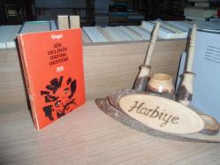 BİR DELİNİN HATIRA DEFTERİ