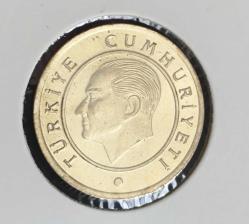 25 KURUŞ 2023 ÇİL SARI