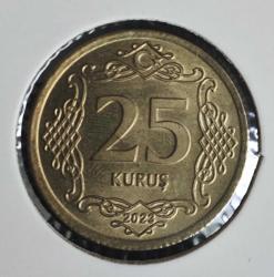 25 KURUŞ 2023 ÇİL SARI