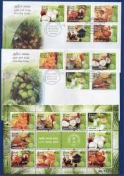 SRİ LANKA 2021 Dünya Hindistan Cevizi Günü