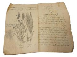 OSMANLICA KİTAP: ZİRAAT DERSLERİ