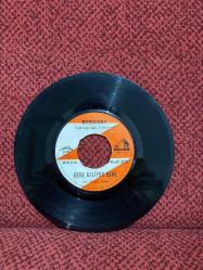 Berkant - Dere Geliyor Dere / Şu Aydının Uşağı PLAK