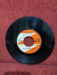 Berkant - Dere Geliyor Dere / Şu Aydının Uşağı PLAK