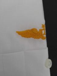 THY TÜRK HAVA YOLLARI PİLOT GÖMLEĞİ