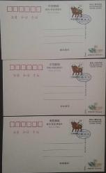 Çin halk Cumhuriyeti   1997 ÇOCUK TEMALI PİYANGO KARTLARI 6 adet  ,Çok Nadir.