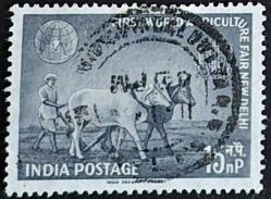 +++ HİNDİSTAN DÜNYA TARIM FUARI - YENİ DELHİ , ÖKÜZ ARABASI      1959    - DAMGALI