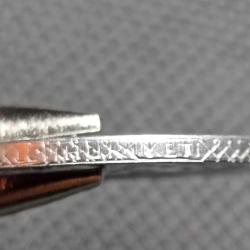 1 Lira 1979 Çift Baskı Erörlü