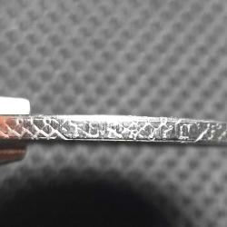 1 Lira 1979 Çift Baskı Erörlü