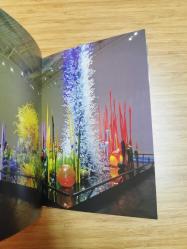 Chihuly: Fire & Light + DVD + Chihuly Outside (DVD + Book)