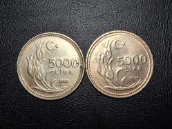 1992-1994 YILLARINA  AİT 5000 LİRA  ÇA/ ÇİL TCM 1347