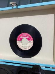 Şükran Ay - Kısmet / Uykuda mısın sevgili yarim / 45'lik