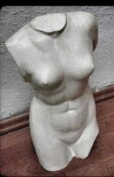TORSO (AFRODİT)