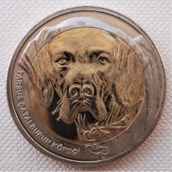 Hayvanlar Serisi 2021 Tarsus Çatal burun Köpeği