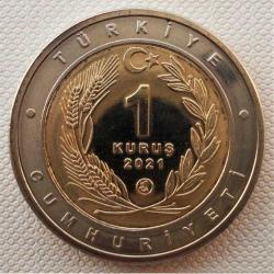 Hayvanlar Serisi 2021 Tarsus Çatal burun Köpeği