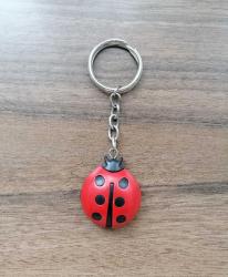 UĞUR BÖCEĞİ AHAHTARLIK