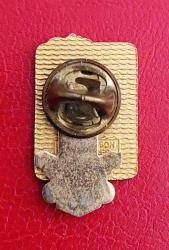 İrlanda, Lions Kulübü Rozeti. %100 Katılım Devam Ödülü 1984-1985. Pirinç Altın Tonlu, Renkli Mine. (Kullanılmış/İyi Durumda)