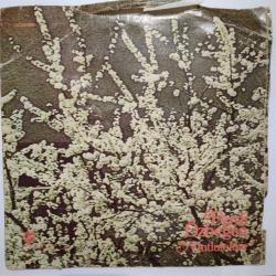 Ferdi ÖZBEĞEN MUTLULUKLAR DÖNEM LP