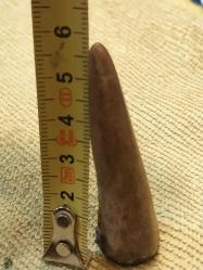 PİRİNÇ MÜHÜR, Kemik Saplı,  Osmanlıca H.1328, M.1912 Tarihli Koleksiyonluk Farklı Bir Mühür..