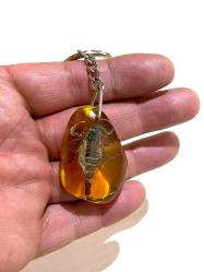 KURUTULMUŞ AKREP ANAHTARLIK ÇANTA SÜSÜ