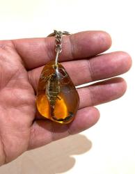 KURUTULMUŞ AKREP ANAHTARLIK ÇANTA SÜSÜ