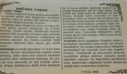 2 Eylül 2006-Orijinal Takvim Yaprağı-Doğum Günü-Söz,Nişan,Nikâh,Düğün ve Önemli Günler Hediyesi-Bizim Anadolu Takvimleri-Ayet(M.b.Dinar)-Irak Şii lideri El-Hekim'e suikast(2003)-Ubeyde-Hurrem-Doğada Yaşam