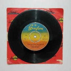 Zeki MÜREN Yollar uzak gelemedim - seninle bir sonbahar