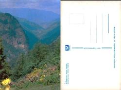 Trabzon Sumela Manastırı Uzaktan Görünüm Kartpostal  Şehir Kartpostalı Yurt Matbaacılık T-3