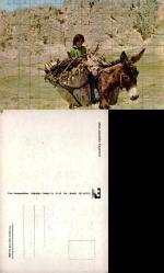 Van Anadolu Yaşantısı Eşek ve Kız Çocuğu  Kartpostal Şehir Kartpostalı Yurt Matbaacılık 4946 REsim Yapmak için kurşun kalemle kareler çizilmiş