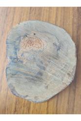 Ağaç Üzeri El Çizimi Balık İmzalı. Paleo imzalı kalın ahşap 9x11cm boyunda. El çizim ve boyama