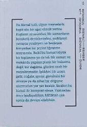 17. İstanbul Bienali - Rehber