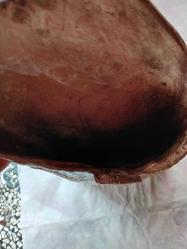 Seramikten zarf şeklinde sukulent'lik