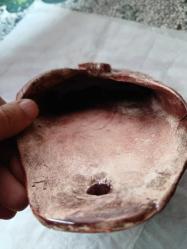 Seramikten zarf şeklinde sukulent'lik