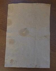 ALİCE COMEDİES İLAN. ESKİLERDEN. KOLEKSİYONLUK.