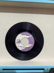 Sevim Tanürek iyi gün dostusun sen aşka paydos PLAK