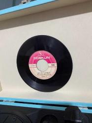 Şükran Ay - Her Gece İçiyorum Her Gece Ağlıyorum / Sevemedim Kara Gözlüm PLAK