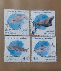 2021 Köpek balıkları  Pul  (Yıkanmış)  Damgalı Posta Pulu - Türkiye PUL Koleksiyonu - Turkish Postage Stamp