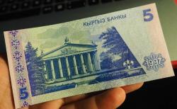 KIRGIZİSTAN 5 SOM ÇİL