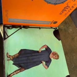 GÖNÜL AKKOR. DOST BİLDİKLERİM. BU NE ACAYİP DÜNYA. LONGPLAY