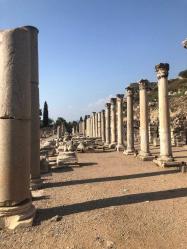 Kitap & Dergi Mezatı 00