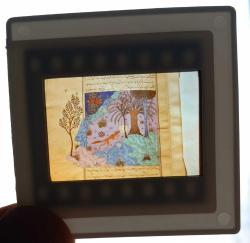 5 ADET OSMANLI MİNYATÜR SANATI DİA FOTOĞRAF 1990'LAR ÇEKİM KONDİSYON YÜKSEK KOLEKSİYONLUK NADİR (B)