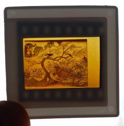 5 ADET OSMANLI MİNYATÜR SANATI DİA FOTOĞRAF 1990'LAR ÇEKİM KONDİSYON YÜKSEK KOLEKSİYONLUK NADİR (B)