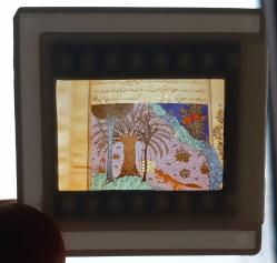 4 ADET OSMANLI MİNYATÜR SANATI DİA FOTOĞRAF 1990'LAR ÇEKİM KONDİSYON YÜKSEK KOLEKSİYONLUK NADİR (B)