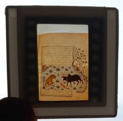 4 ADET OSMANLI MİNYATÜR SANATI DİA FOTOĞRAF 1990'LAR ÇEKİM KONDİSYON YÜKSEK KOLEKSİYONLUK NADİR (B)