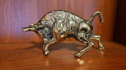 PİRİNÇ BOĞA  ( İran )  orta boy