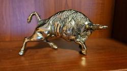 PİRİNÇ BOĞA  ( İran )  orta boy