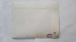 BİRLEŞİK KRALLIK ESKİ BAŞBAKANI MARGARET THATCHER'IN HABER AJANSI BASIM FOTOĞRAFI (KAĞIT BASKI) - NEWS AGENCY PHOTO (PAPER PRINT) OF FORMER UNITED KINGDOM PRIME MINISTER MARGARET THATCHER - 21 x 17 cm EBADINDA - . - İNGİLTERE SİYASİ TARİHİ - MARGARET THATCHER'IN TÜRKİYE ZİYARETİNDE KENDİSİNİ ''YENİ PAPATYAMIZ THATCHER'' DÖVİZLERİYLE KARŞILAYAN TÜRK HALKI. 1988