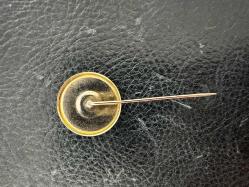 BEŞİKTAŞ ROZETİ BJK No38